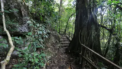 Las Nubes Chiapas, Sendero - panoramio