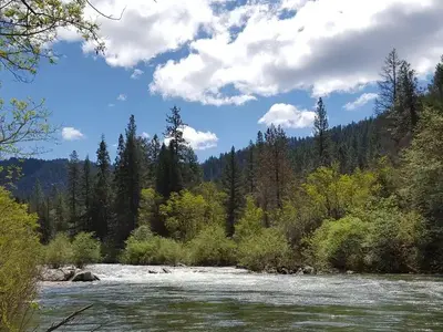 North Fork Yuba River
