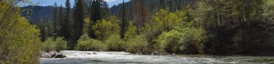 Fiddle Creek Campground