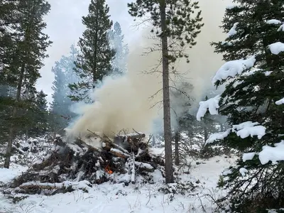 Smith Creek Pile Burning (52505922992)
