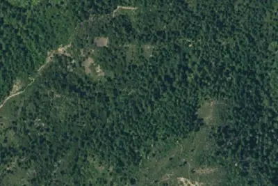 Maple Camp