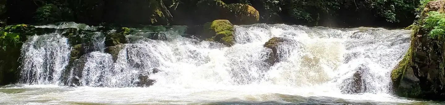Cavitt Creek Falls during the early summer months