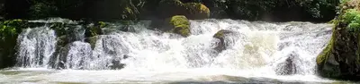 Cavitt Creek Falls Recreation Site