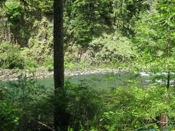 Fish Creek (Or) 1