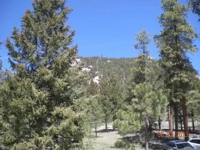 Kelsey Campground