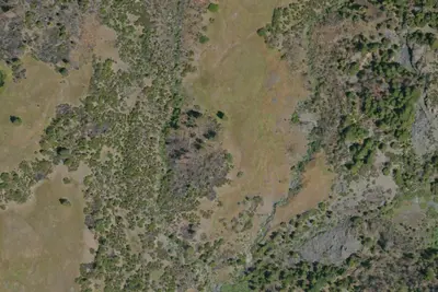 Camp site
