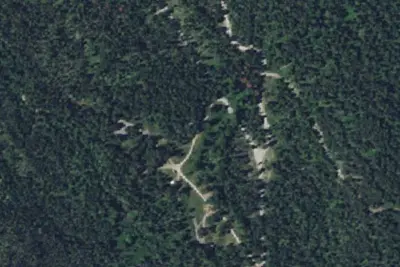 Pine Grove-001e