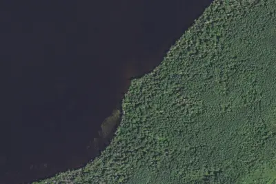 Pine Lake 3