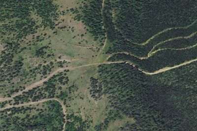 Baldy Mtn-Rd 1826-009