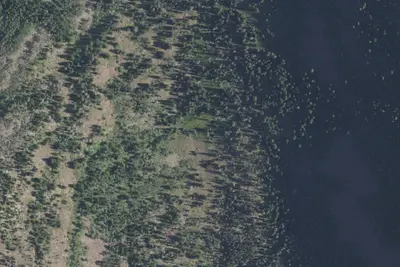 Camp site
