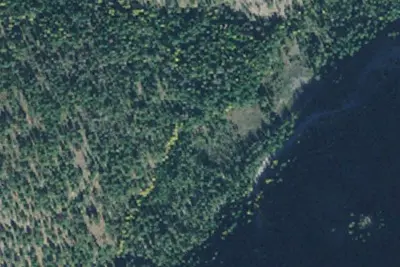 Rd 215 Site 9