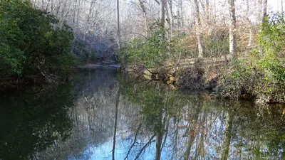 Prince William Forest Park - January Walk (12021728676)
