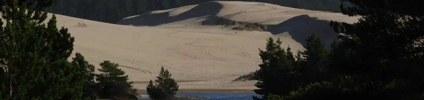 Shore pines with sand dunes and conifer covered hills in background.