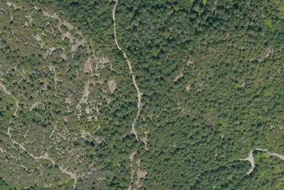 Camp site