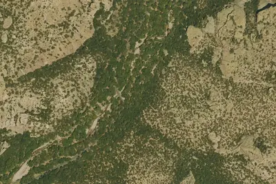 Stewart Campground