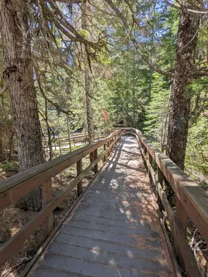 Ramp to Cougar Rock Amphitheater (0af01d18-82f4-48a6-9640-183c1ce9c56c)