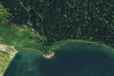 Lake Frances Camp