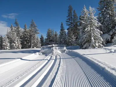 Cross Country Ski Trail - Setting corduroy and classic tracks