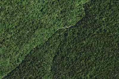 Camp site (NYSDEC)