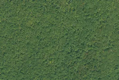 Camp site