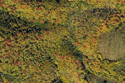 Camp site
