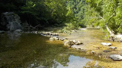 Gunner Pool Campground