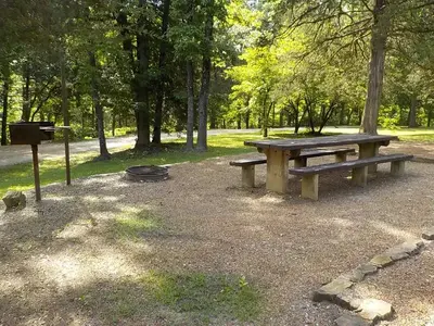 Campsite