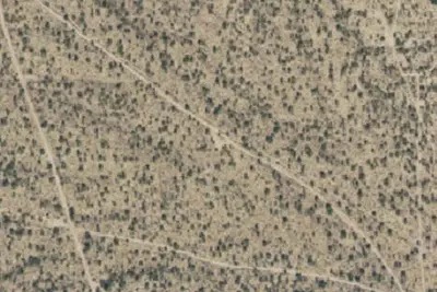 Camp site