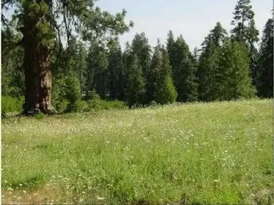 Masterson Group Campground