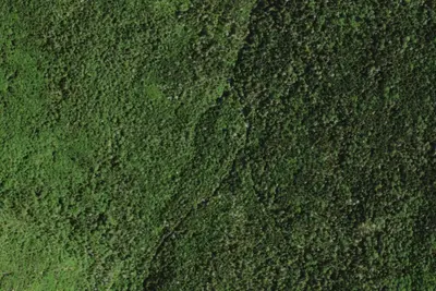 Camp site (NYSDEC)