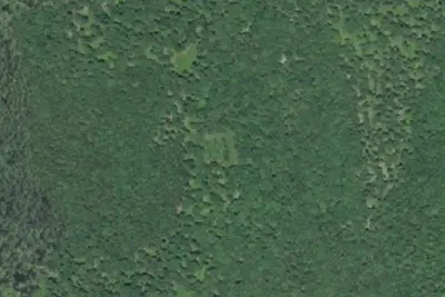 Camp site