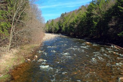 Loyalsock Creek (8671041240)