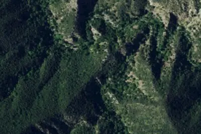 Camp site
