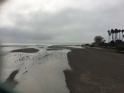 Dana Point (32031459213)