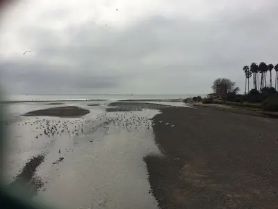 Dana Point (32031459153)