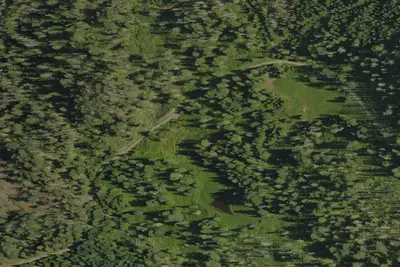 Mud Lake Shelter