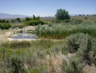 McClendon Springs - panoramio - photophat (2)
