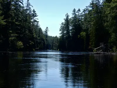 Petawawa River (26858620429)