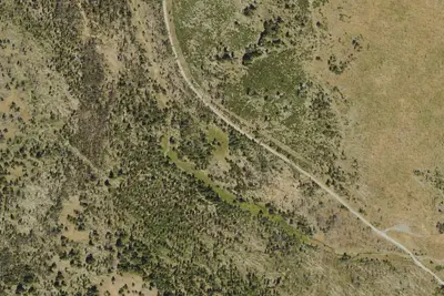 Primitive Camping Area