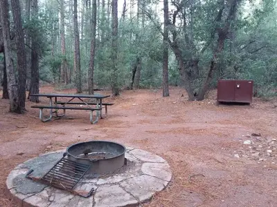 Ponderosa (AZ) Campsite Loop B