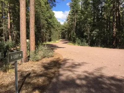 Ponderosa