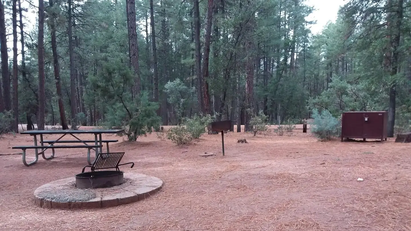 Ponderosa (AZ) Campsite