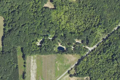 Gammy Woods Campground