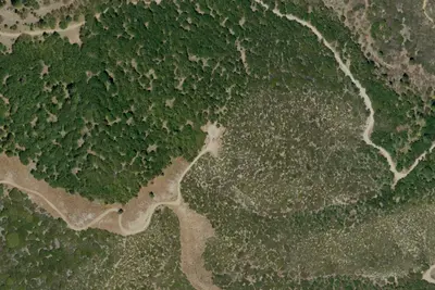 Thomas Mtn Yp Sites Along 6s13