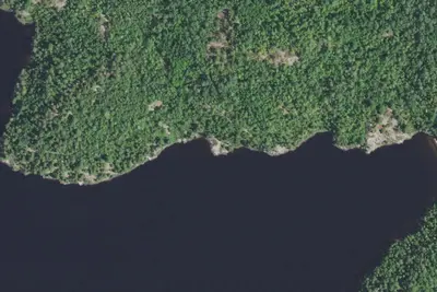 Camp site (Superior National Forest)