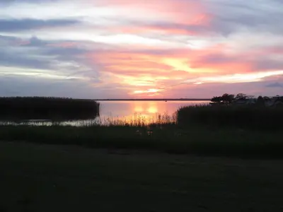 Back Bay National Wildlife Refuge 2019q