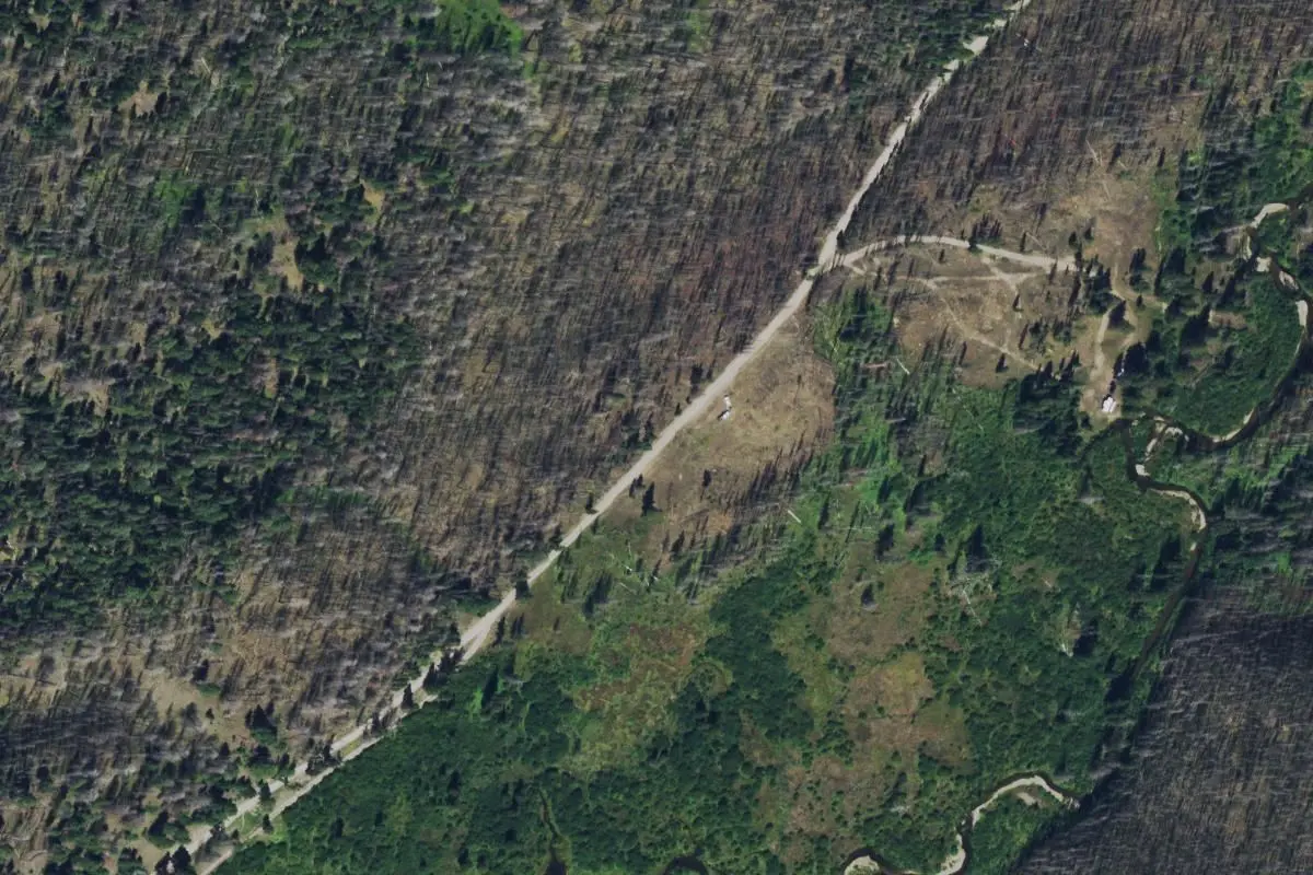 Aerial view