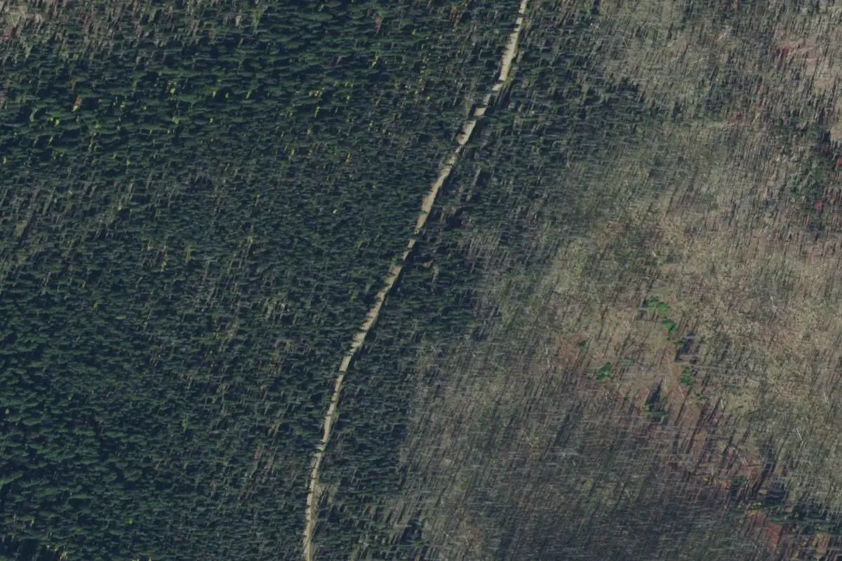 Aerial view