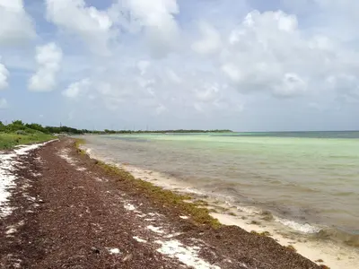 Beach View - panoramio (1)
