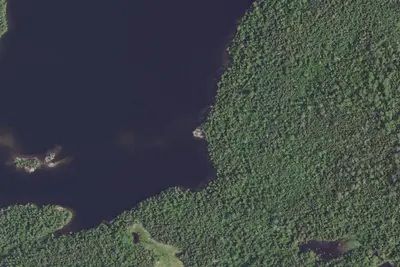 Camp site (Superior National Forest)